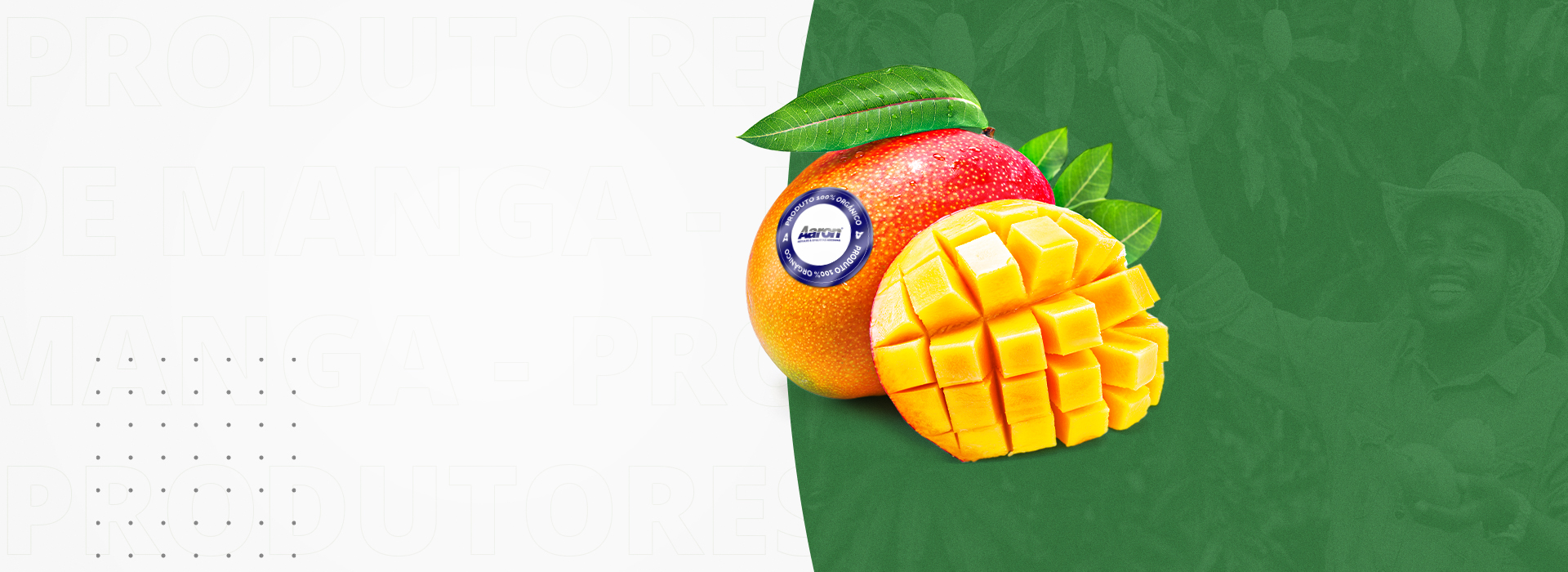 Etiquetas para Manga